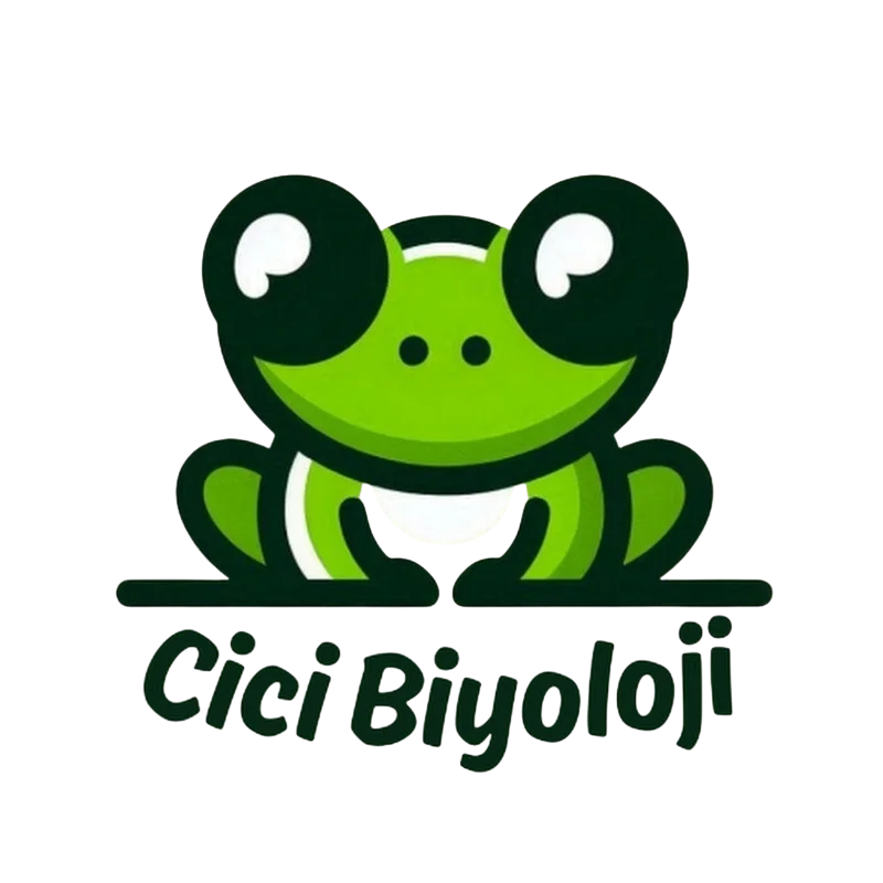 Cici Biyoloji